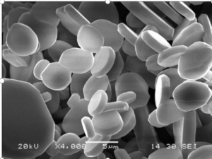 Polvere di allumina piastrinica per lucidatura di semiconduttori  -3-